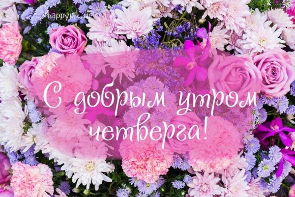 Открытки с добрым утром четверга
