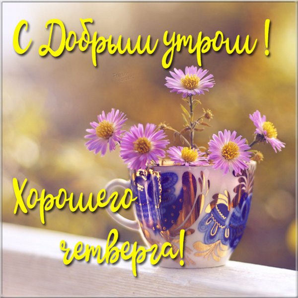 Доброе утро четверга