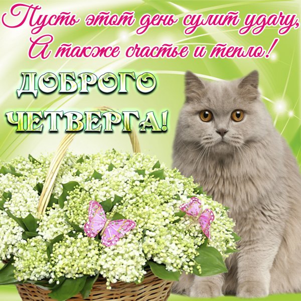 Пожелания на четверг