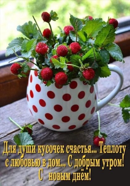 Открытки с добрым утром