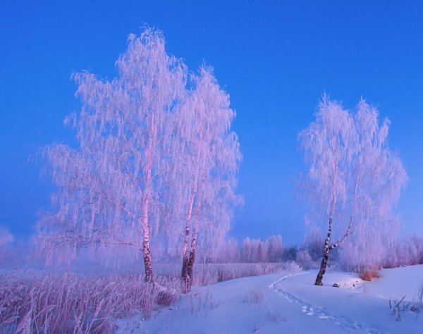 Морозное утро