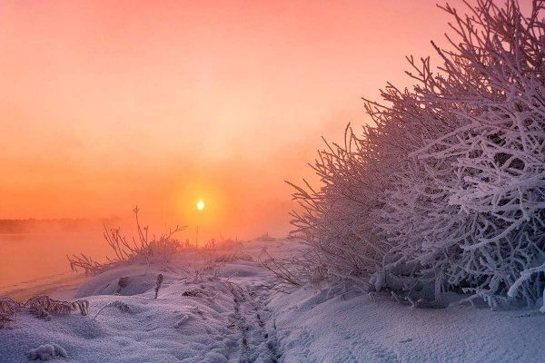 Морозное зимнее утро