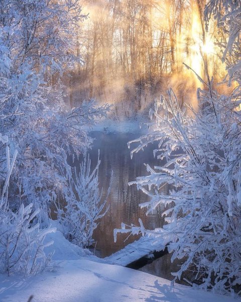 Декабрь природа
