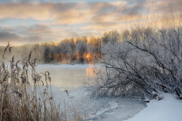 Морозное зимнее утро