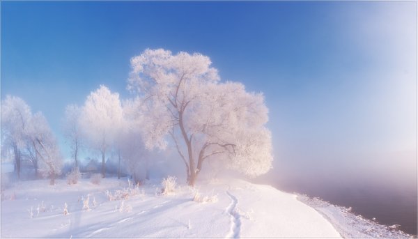 Утро зима