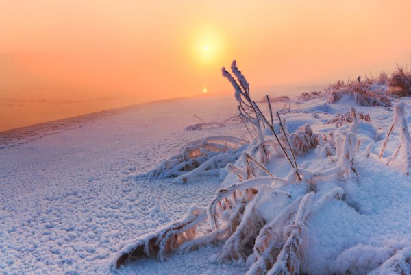 Морозное утро