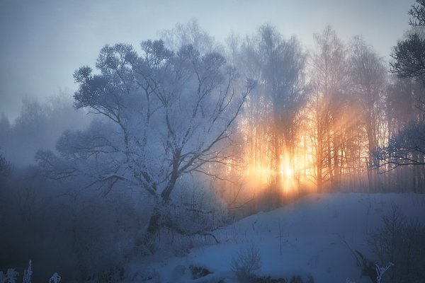 Очень морозное утро