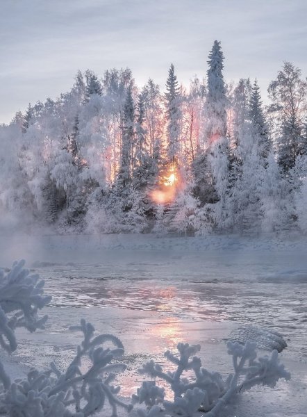 Морозный пейзаж