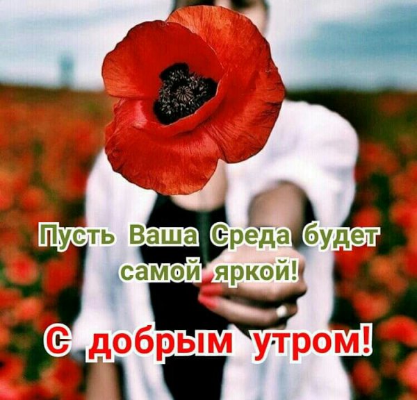 С добрым утром среды картинки