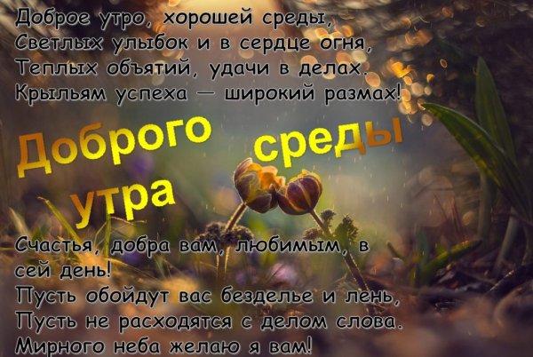 Доброе утро среда