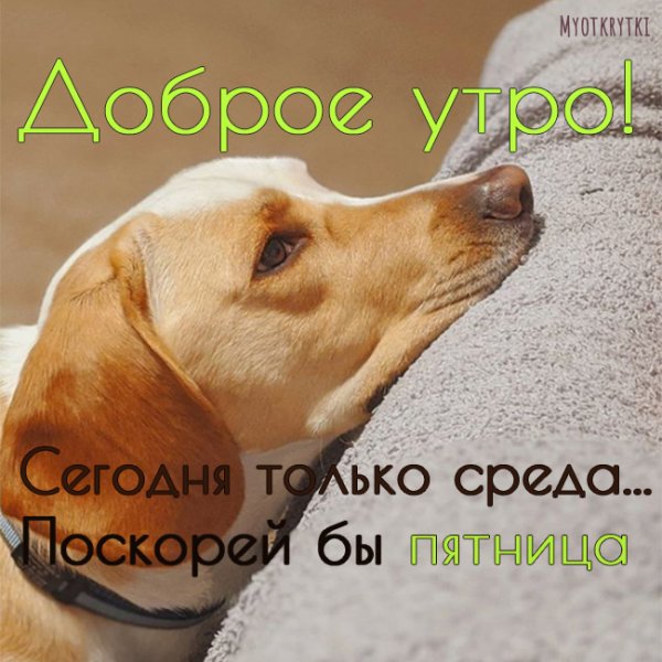 Поздравление с добрым утром