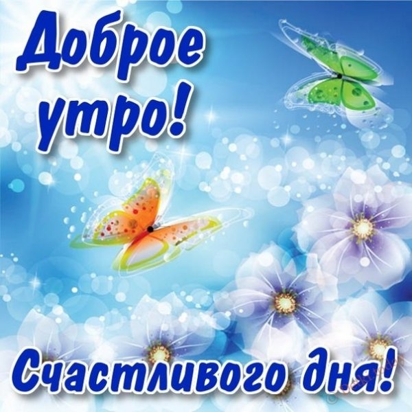 Открытки с добрым утром счастливого дня