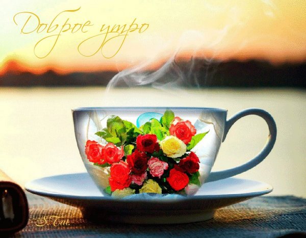 Душевного утра