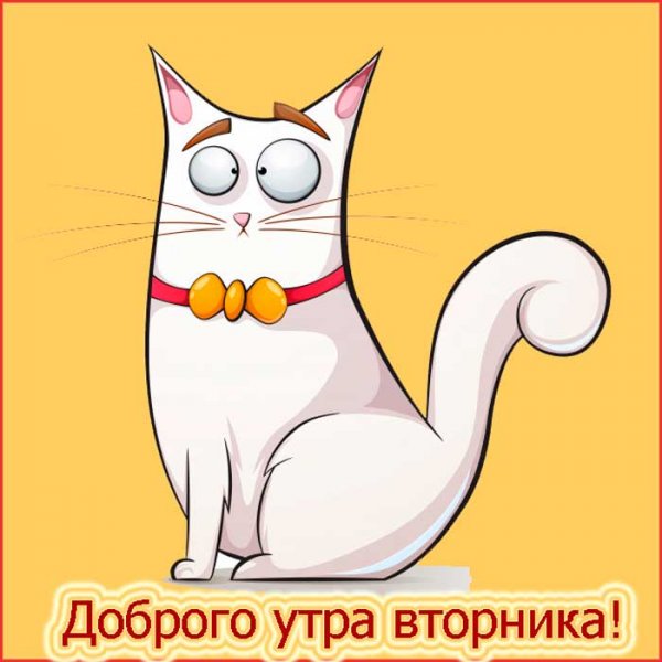 С добрым утром вторника