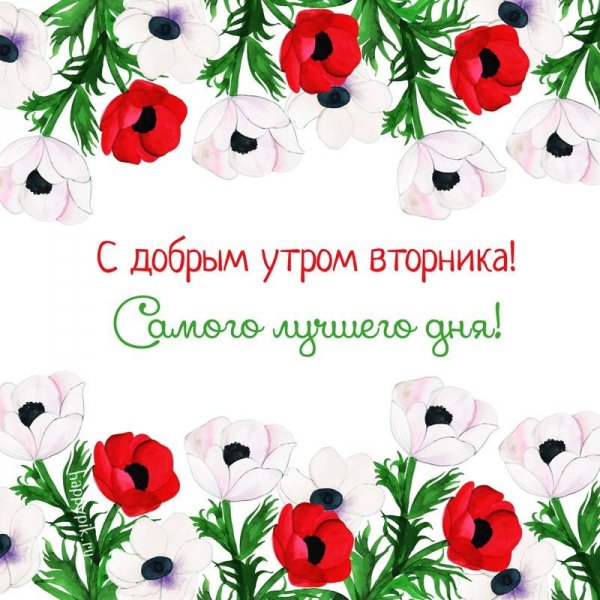 С добрым утром вторника прикольные пожелания