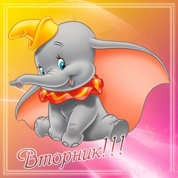 Доброе утро вторника
