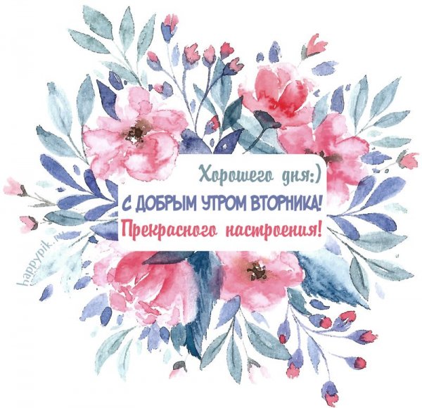 Доброе утро вторника