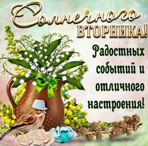 С добрым утром вторника