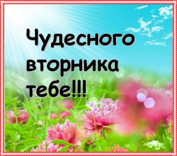 Доброе утро вторника