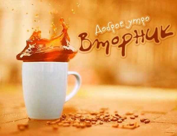 Вторник с добрым утром цветы