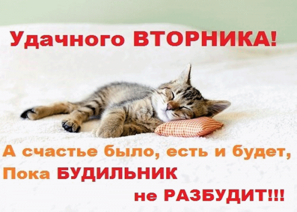 Открытки со вторником