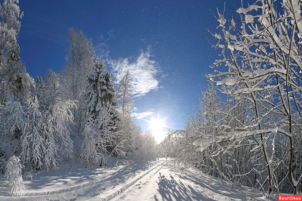 Снежное Снежное утро