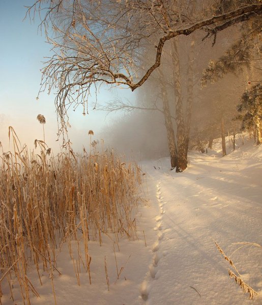 Морозное солнечное утро