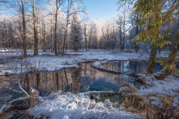 Снежное утро