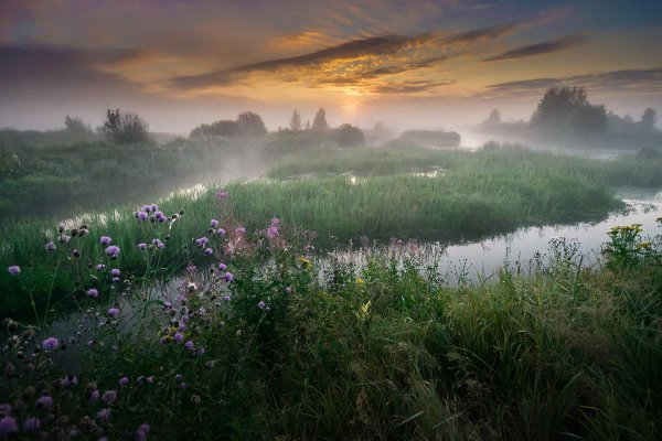 Раннее летнее утро
