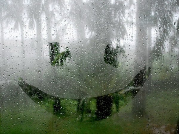 Картинка дождь утро (37 фото)