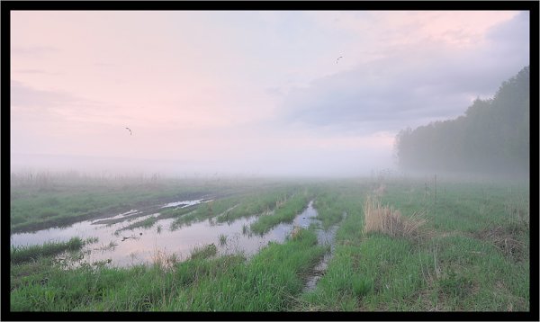 Раннее утро пасмурное