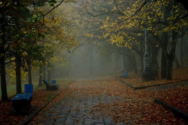 Дождливый Железноводск