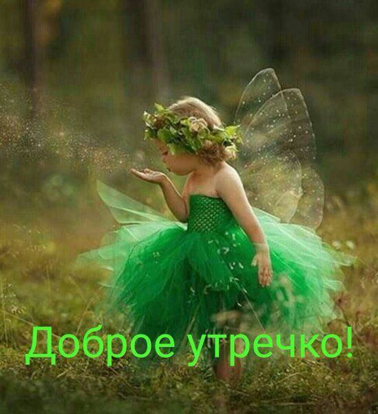 Девочка Фея