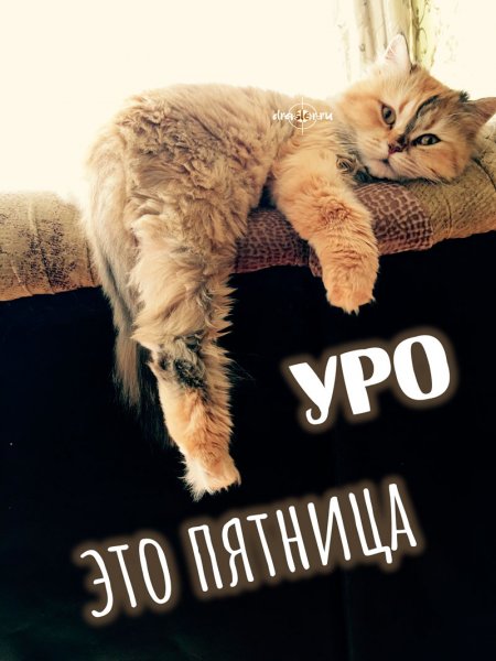 Доброе утро пятницы