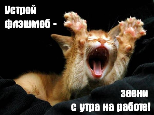 Доброе утро пятница осень