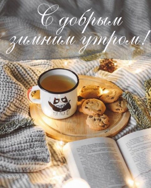 Кот плед кофе
