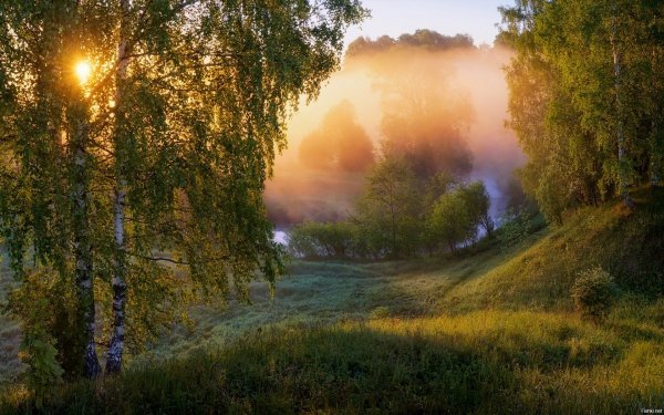 Утро природа