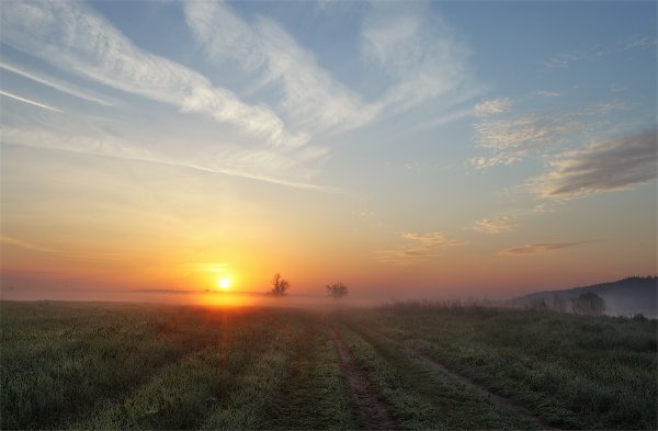 Ранний рассвет в поле