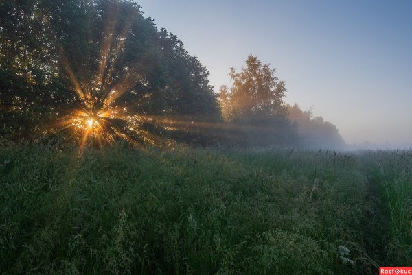 Солнечное утро