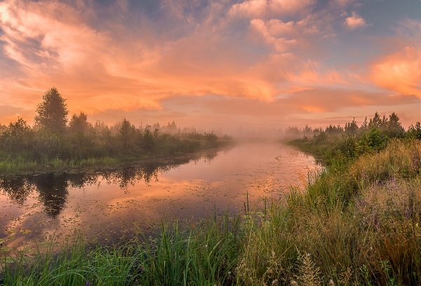 Полесье природа Беларусь