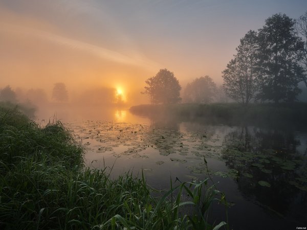 Рассвет на реке