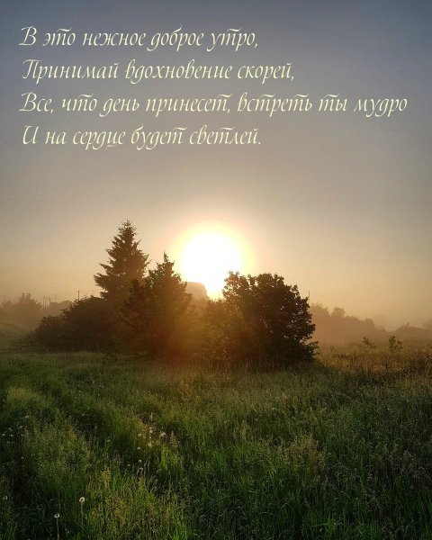 Красивый утренний рассвет