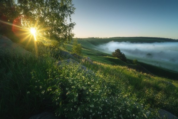Природа рассвет