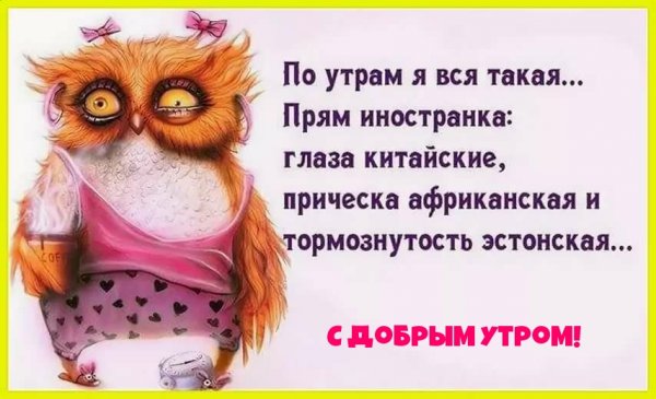 Доброе утро прикол