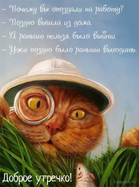 Доброе утро прикольные Карти