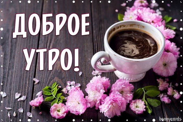 Привет с добрым утром