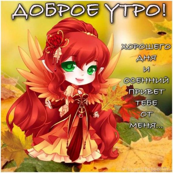 Осенний привет с добрым утром