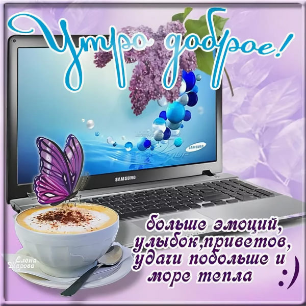 Доброе утро друзья