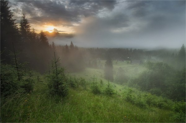 ВРТ хмурое утро