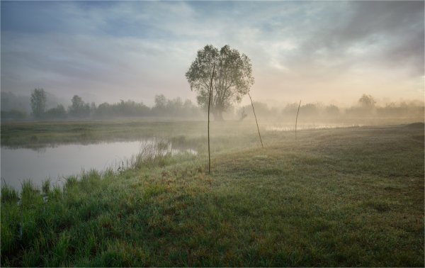 Хмурое утро